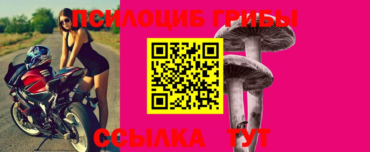 Галлюциногенные грибы мицелий  Вход с VPN  Псилоцибиновые грибы Cubensis  Удомля 